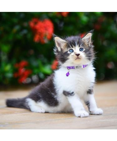 Tagme 2 Pack Purple Cat Collars for Kittens | Personalizable with Name & Phone Number | Safety Clasp & Bell | Adjustable 15-20 cm - Buy Online on GoSupps.com