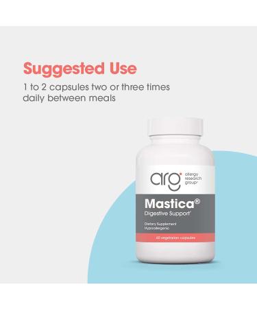 Allergy Research GroupMastic Gum 60 ct 60 Count (Pack of 1) - Buy Online on GoSupps.com