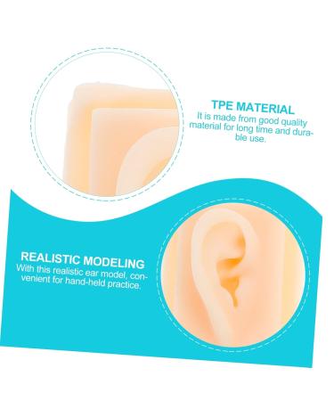 Beavorty Ear Presentation Model - Silicone Ear Mold for Hearing Aid Display & Teaching - International Shipping Available - Buy Online on GoSupps.com