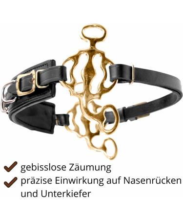 AMKA Hackamore Baroque 3-Ring - Black Leather Noseband | International Shipping Available - Buy Online on GoSupps.com