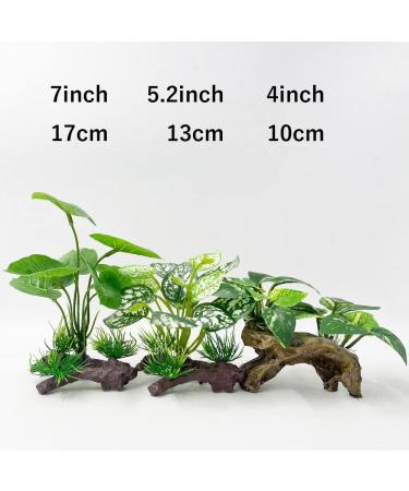 Smoothedo-Pets Aquarium Decoration | Betta Silk Blade Pad Driftwood Cave & Shell Accessories - Enhance Your Fish Tank! - Buy Online on GoSupps.com