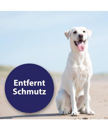 Canosept Ear Cleaner for Dogs 125ml | Effective Solution for Ear Care Dirt Removal & Inflammation Relief - Buy Online on GoSupps.com