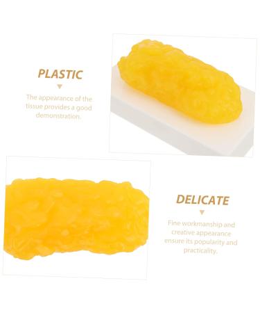 3pcs Fat Model Handheld Mouse 1 Pound Demonstration Model Human Fat Manquin Module Plastic Body Fat - Buy Online on GoSupps.com