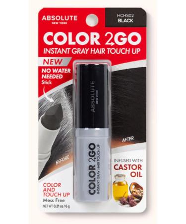 Shop Absolute New York Color 2 Go Hair Stick Black HCHS02 | International Shipping Available - Buy Online on GoSupps.com