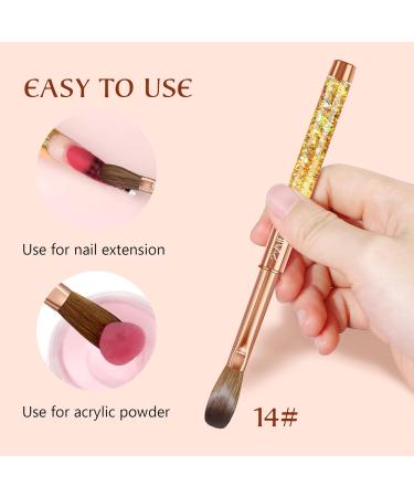 Saviland Kolinsky Acrylic Nail Brush Size 14 | Professional Nail Art & Extension Tool | Ideal for DIY Nail Studios - Buy Online on GoSupps.com