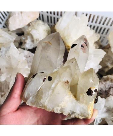 Natural Crystal Rough 1pc 300g-500g Natural Clear Smoky Quartz Cluster Bulk Crystal Cluster geode Crystal Specimen for Sale - Buy Online on GoSupps.com