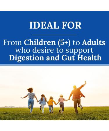 Hi Well Premium Probiotics 60Vegetarian Capsules - Buy Online on GoSupps.com