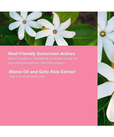 Coola Organic Scalp Spray & Hair Sunscreen Mist SPF 30 - Pack of 2 | Vegan & Gluten-Free | Ocean Salted Sage | Dermatologist Tested for Daily Protection - Buy Online on GoSupps.com