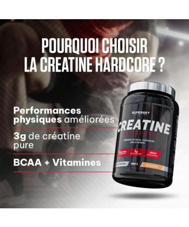 Superset Nutrition - Creatine Hardcore (1.5 kg) - Soluble powder - 3 g creatine monohydrate per dose BCAA Carbohydrates - Optimal recovery and power - Suitable for intense sports - Lime - Buy Online on GoSupps.com