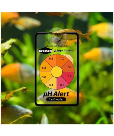 Seachem Alarm pH & Ammonia Monitor for Freshwater Accurate Reliable & Easy to Use - Buy Online on GoSupps.com