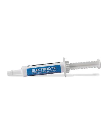 Nettex Electrolyte Syringe Paste Boost