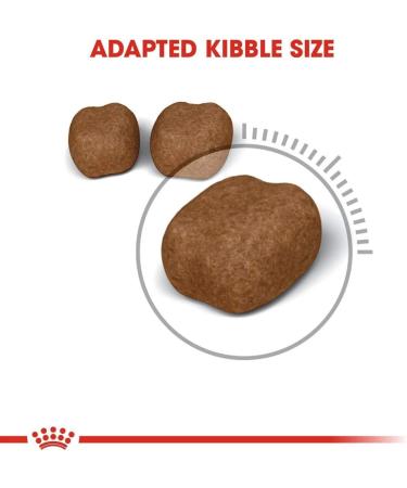 Royal Canin Dental Care Dry Cat Food 8kg Oral Care 8 kg (Pack of 1) - Buy Online on GoSupps.com