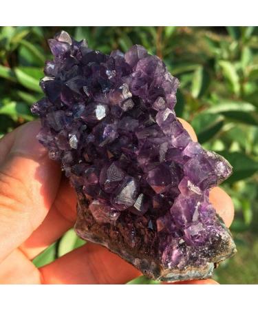 Natural Crystal Rough Natural Amethyst Quartz Crystal Cluster Specimen 80g - Buy Online on GoSupps.com