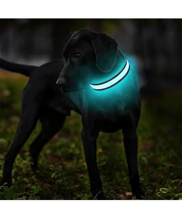 Masbrill Luminous Dog Collar - Waterproof LED Adjustable Light-Up Band for Small Medium & Large Dogs (28-40cm) - 3 Light Modes - Black - Buy Online on GoSupps.com