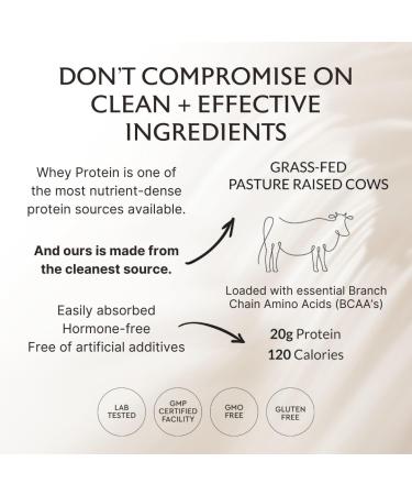 Alaya Naturals Grass Fed Whey Protein Powder - Vanilla | 20g Protein All Natural Non-GMO Gluten Free - Hormone Free Great Source of BCAA - Buy Online on GoSupps.com