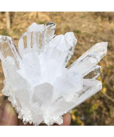 Home Natural White Quartz Crystal Cluster Specimen Home Goods (Size : 650-700g) - Buy Online on GoSupps.com