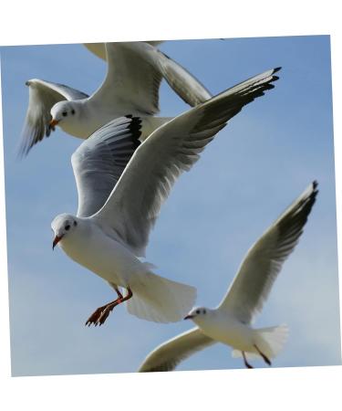 BESPORTBLE 100 Pcs Pigeon Anklet Baby Products Identification Perches Stuff Plastic Bird Ankle Ring Red Chicken 1.3X1.3CM Red - Buy Online on GoSupps.com