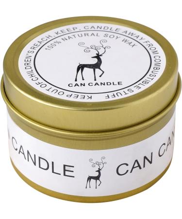 Natural Crystal Red Jasper & Obsidian Raw Stone Aromatherapy Candle | Healing Crystals & Dried Flower Gift for Mindfulness & Meditation - 0.25 lb - Buy Online on GoSupps.com