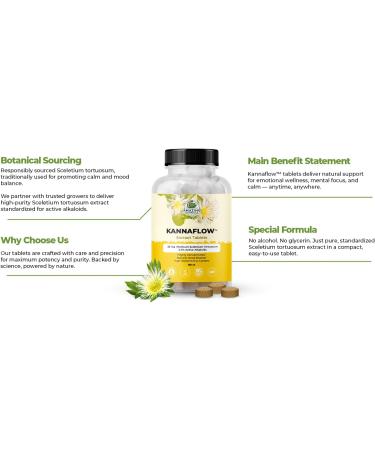 Amazing Botanicals Platinum Sceletium Tortuosum Extract Tablets - 25mg | High Mesembrine Content | 5.5% Active Alkaloids | 90 Count 90 Count (Pack of 1) - Buy Online on GoSupps.com