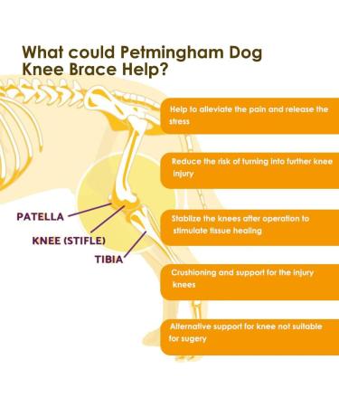 Petmingham Dog Knee Brace for ACL Knee Cap Dislocation Arthritis - Joint Pain Muscle Sore - Better Recovery - Reduces Pain and Inflammation -Adjustable Dog Rear Leg Braces (Size: XXS) XX-Small - Buy Online on GoSupps.com