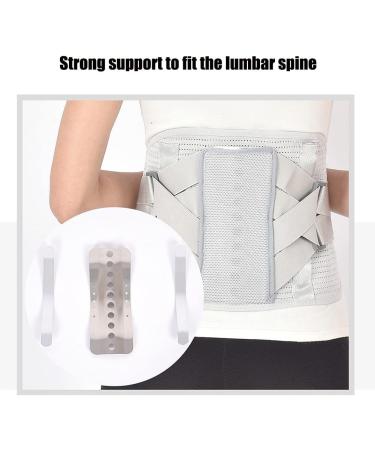 ZWEBY Back Support Brace - Self-Heating Lumbar Support Belt for Men & Women with Removable Lumbar Pad - Optimal Lower Back Pain Relief - Buy Online on GoSupps.com