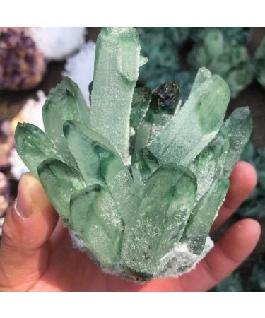 Natural Crystal Rough 300-400G Hot Weather Crystal Cluster Made from Chrysanthemum Green Mineral Processing - Buy Online on GoSupps.com