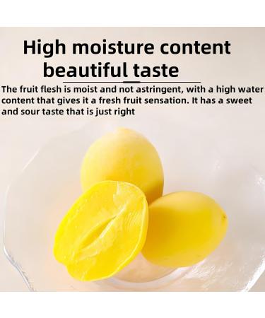  Jgfwat 5 Pack Chinese Small Yellow Peach Fruit Snacks Peach Snacks Peach Fruit Chinese Fruit Snacks Chinese Fruit Snacks Casual Snacks 30g - Buy Online on GoSupps.com