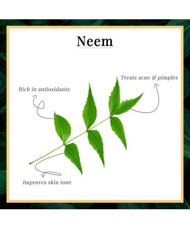 Good Vibes Gel Neem & Tulsi (300 G) - Buy Online on GoSupps.com