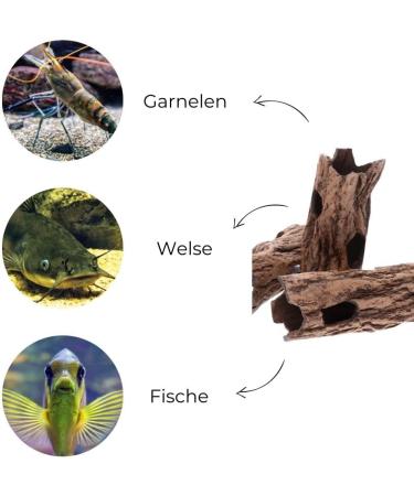 GarPet Ceramic Catfish Tube Cave - Aquarium & Terrarium Decoration for Reptiles & Fish Spawning Hiding Place - Buy Online on GoSupps.com