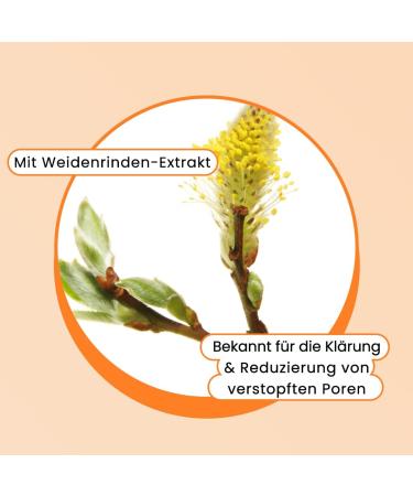 Biore Purify & Prevent - Gentle cleansing gel - Capacity: 200 ml - Suitable for sensitive and acne-prone skin - Dermatologically tested - Buy Online on GoSupps.com