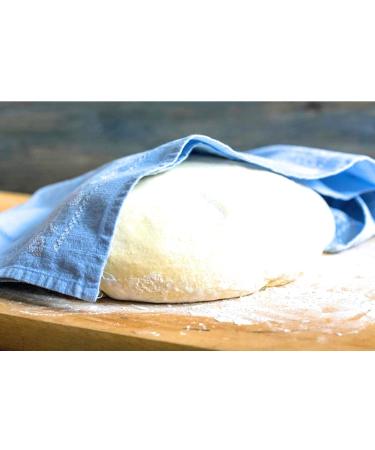 Buy Ruggeri Italian Lievito Madre Dried Active Mother Yeast 2x250g | Perfect for Baking Bread Pizza & Cakes - International Shipping - Buy Online on GoSupps.com