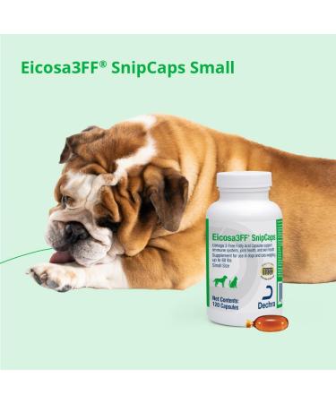 Eicosa3FF SnipCaps Omega 3 Free Fatty Acid Capsules for Dogs and Cats - Small 120 ct - Buy Online on GoSupps.com