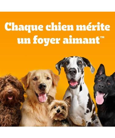 PEDIGREE Mini Poultry Croquettes Small Adult Dog 6 x 2kg - Buy Online on GoSupps.com
