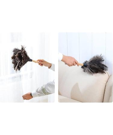 FCSHFC Natural Ostrich Feather Duster 2 Pcs Dusters for Cleaning Soft and Fluffy Duster for Interior Exterior Office Blinds Cleaner Brown - Buy Online on GoSupps.com