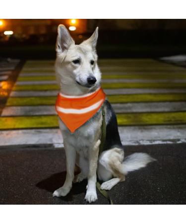 Reflective Triangle Dog Tapers - Adjustable Fluorescent Orange Pet Scarves for Night Walks Camping & Travel - Buy Online on GoSupps.com
