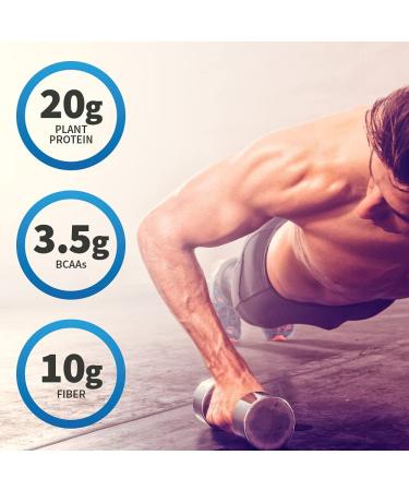 Garden of Life Sport Organic Plant-Based Protein Bar - Chocolate Mint (12 Bars, 2.46 oz Each) - Buy Online on GoSupps.com