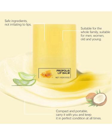 Honey Lip Butter Propolis Lip Cerin Honey Bee Lip Butter Lip Balm Stick Scented Lip Balm Hydrating Overnight Lip Balm & Mask Lipstick Deeply Nourishes and Softens Lip Lip Moisturizer Honey Lip Balm - Buy Online on GoSupps.com