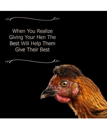 Animal Health Solutions Hen Boost Probiotics - Enhance Immunity & Hydration in Full-Grown Chickens (8 oz) - Buy Online on GoSupps.com