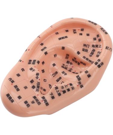 Buy Ear Zone PVC Acupuncture Point Model - Reflexology Teaching Aid for International Shipping - Buy Online on GoSupps.com