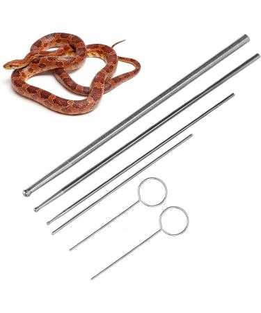 HEEPDD Snake Probe Tool 6 Pcs Snake Probe Kit Stainless Steel Round Head Anti Allergy Reptiles Snake Sexing Probe - Buy Online on GoSupps.com