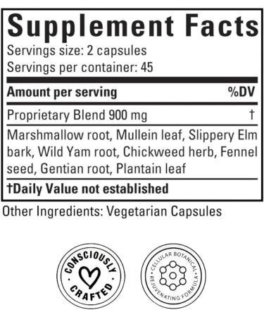 Doctor Morse's GI Daily - Gut Cleanse - Digestive Support - Intestinal, Overall Gut Support - Naturopath Formulated - Marshmallow Root, Slippery Elm Bark, Mullein Leaf - 90 Capsules - 45 Day Supply - Buy Online on GoSupps.com