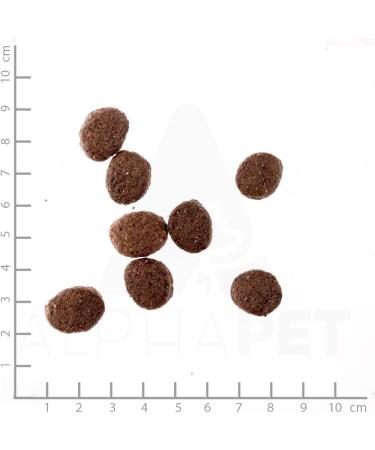 Wildes Land Dog Food Lamb Flavor with Rice 12 kg - Buy Online on GoSupps.com