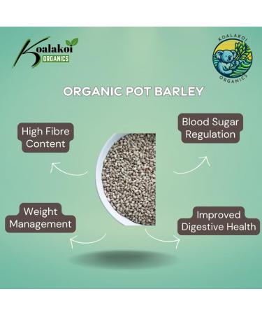 Koalakoi ORGANIC Pot Barley (4.5kg) Premium non-GMO Barley | High Fibre Content | Great For Blood Sugar Regulation and Weight Management (4.5kg) - Buy Online on GoSupps.com