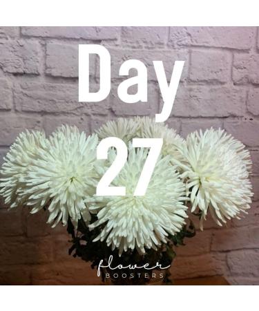 Flower Boosters Cut Flower Food for Fresher Vase Life Up to 20 Days or More (12.5 Ounces) - Buy Online on GoSupps.com