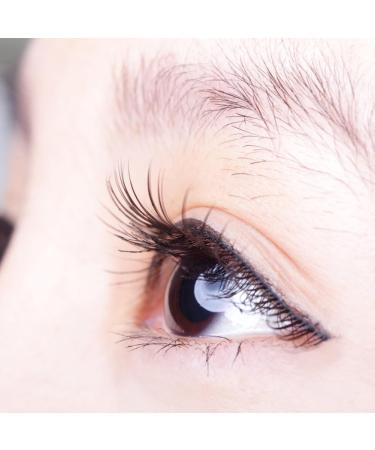 10pairs Fake Eyelashes Eyelashes Natural Look False Lashes Fluffy Wispy Fake Eyelashes Strip Lashes Short Cat Eye Lashes for Beginner Eye Makeup(Black) - Buy Online on GoSupps.com