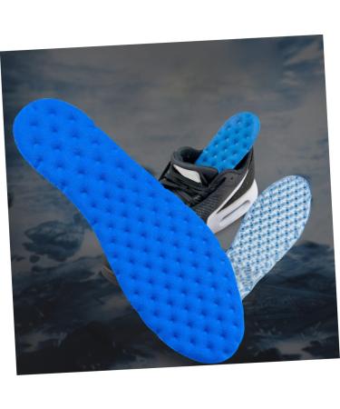 NOLITOY Blue Sports Insoles - Comfort Massage Damping Hair Stencils & Unique Curio Display Stand for Barbers - Buy Online on GoSupps.com