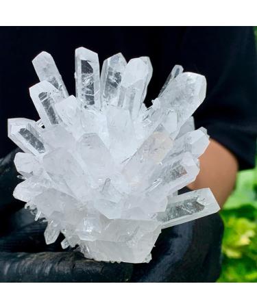 Natural White Phantom Quartz Crystal Cluster Samples heal Home Office Decoration ERBDRGAZ (Size : 1300-1500g) - Buy Online on GoSupps.com