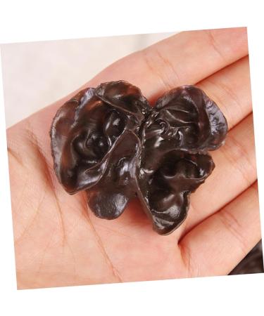 STAHAD 15pcs Model Agarics Vegetables Model Realistic Agarics Fake Agarics Realistic Food Props Fake Vegetables Realistic Vegetables Simulation Vegetables Pvc Decoration Fake Artificial Dark Brown 5.00X4.20X1.00CM - Buy Online on GoSupps.com