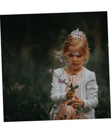 FRCOLOR Girls Crown Comb Rhinestones Child White Jewelry Metal Hair Barrettes - Buy Online on GoSupps.com
