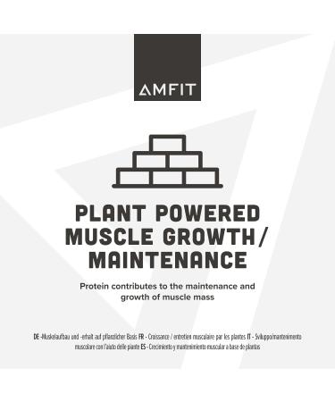 Amfit Nutrition Plant Based Protein Powder - Salted Caramel 900g - Buy Online on GoSupps.com